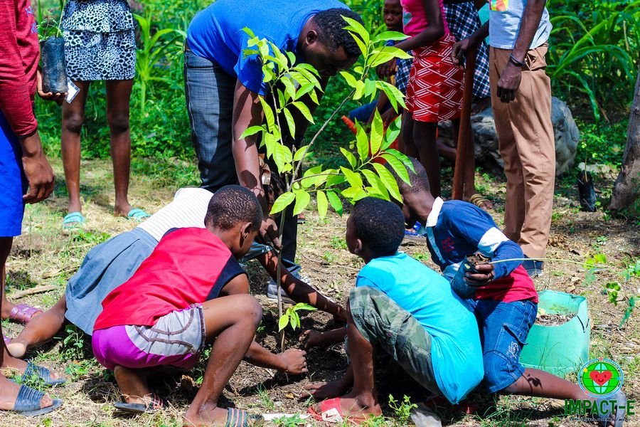 Action communautaire de reboisement